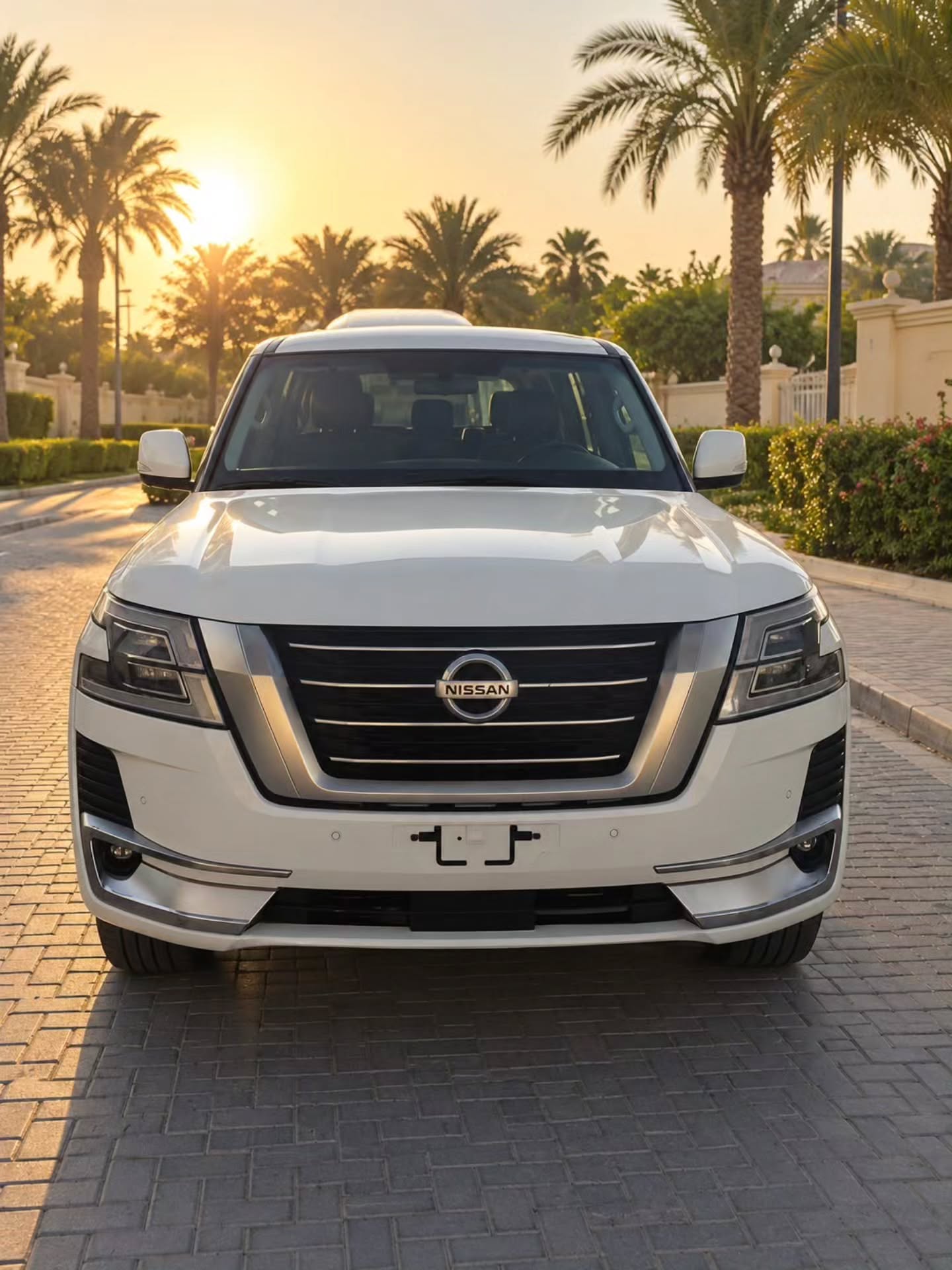 نيسان باترول 2020 صورة 2