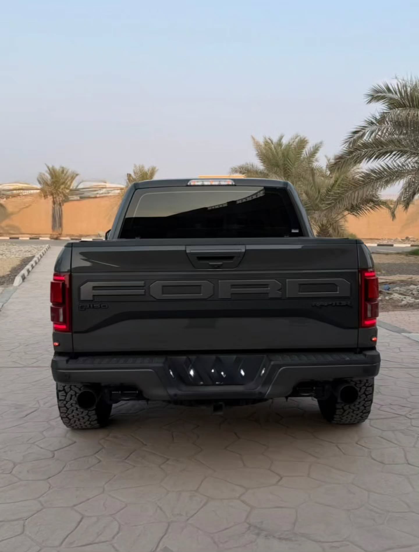 فورد F-150 2020 صورة 4
