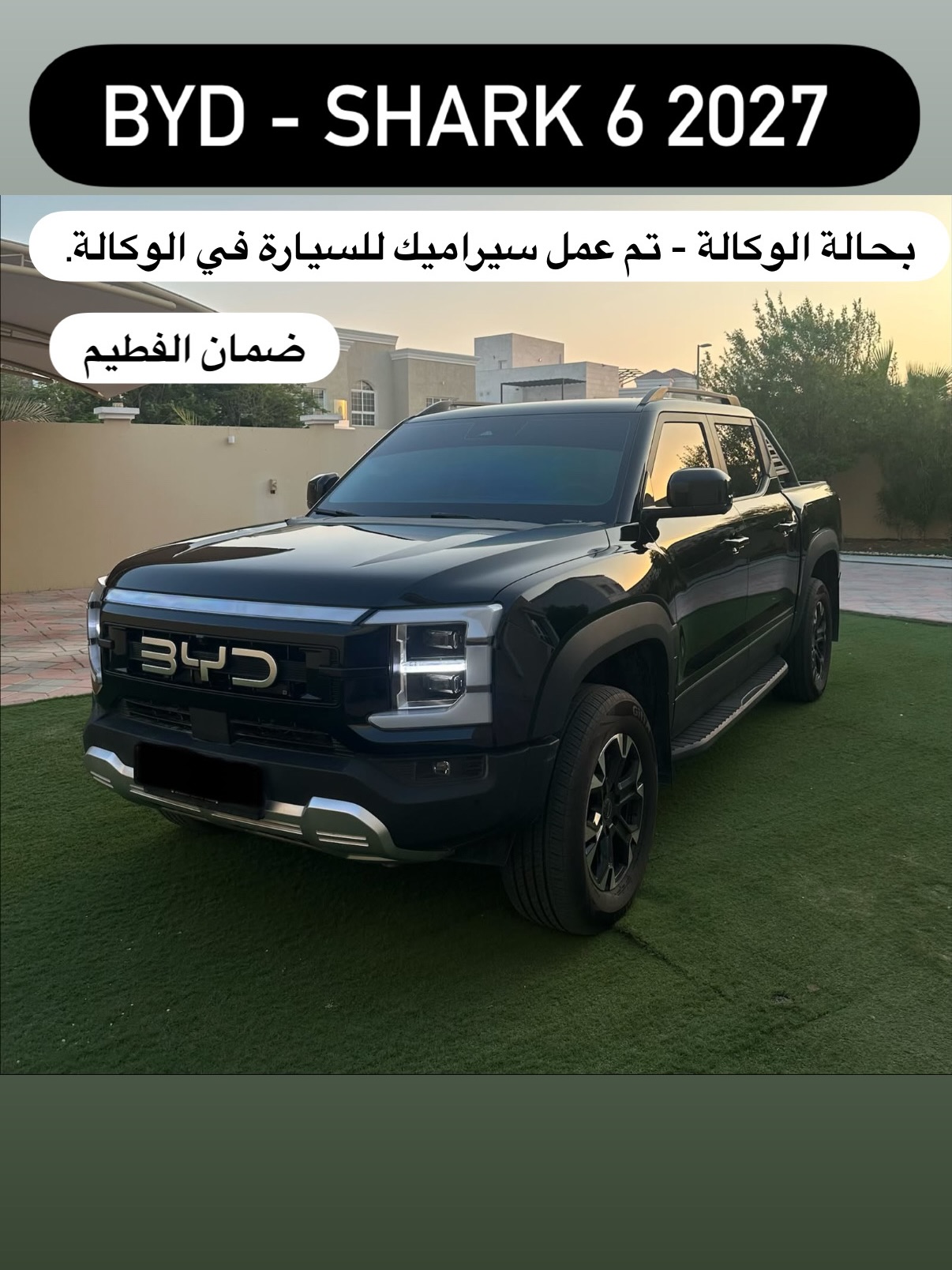 بي واي دي Shark 6 2027