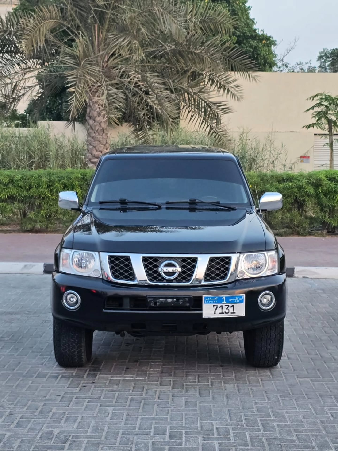 نيسان باترول سفاري 2021 صورة 3