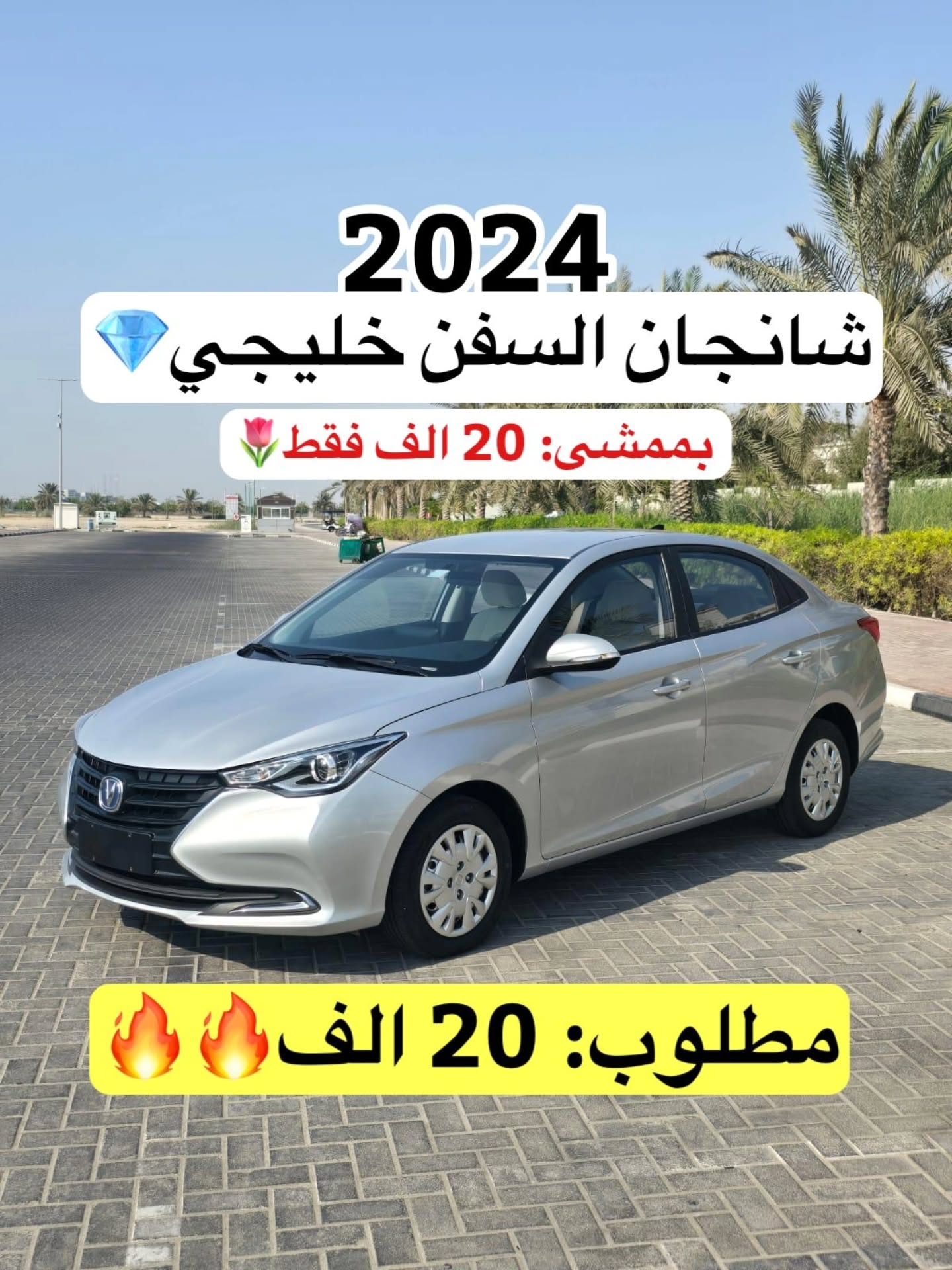 شانجان السفن 2024