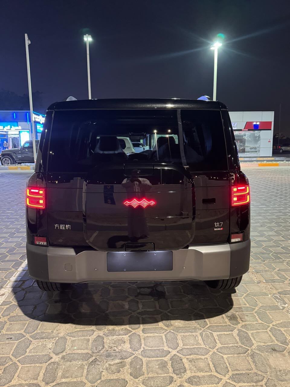 بي واي دي ليوبارد 7 2026 صورة 6