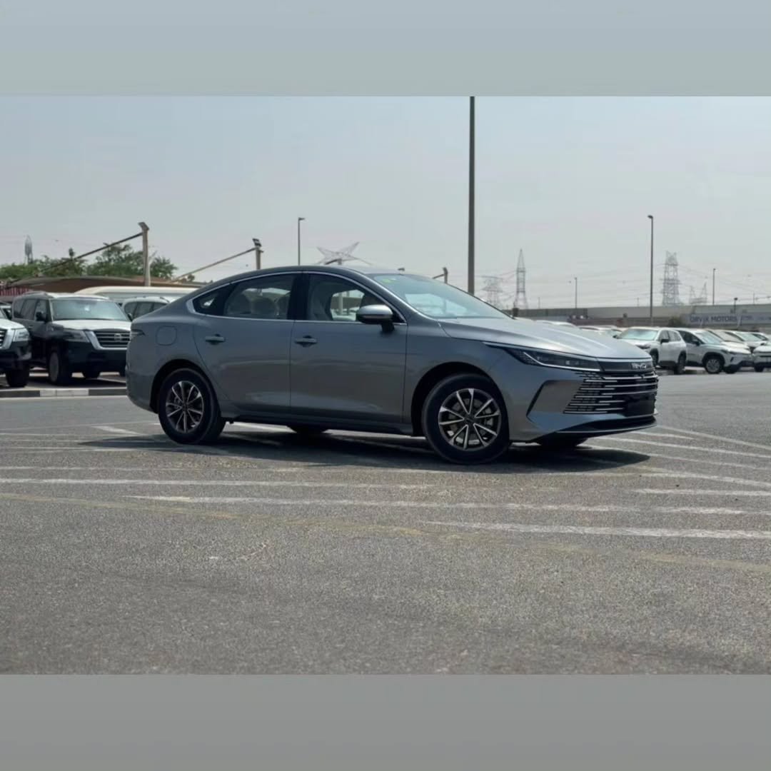 بي واي دي ديستروير 05 2026 صورة 4