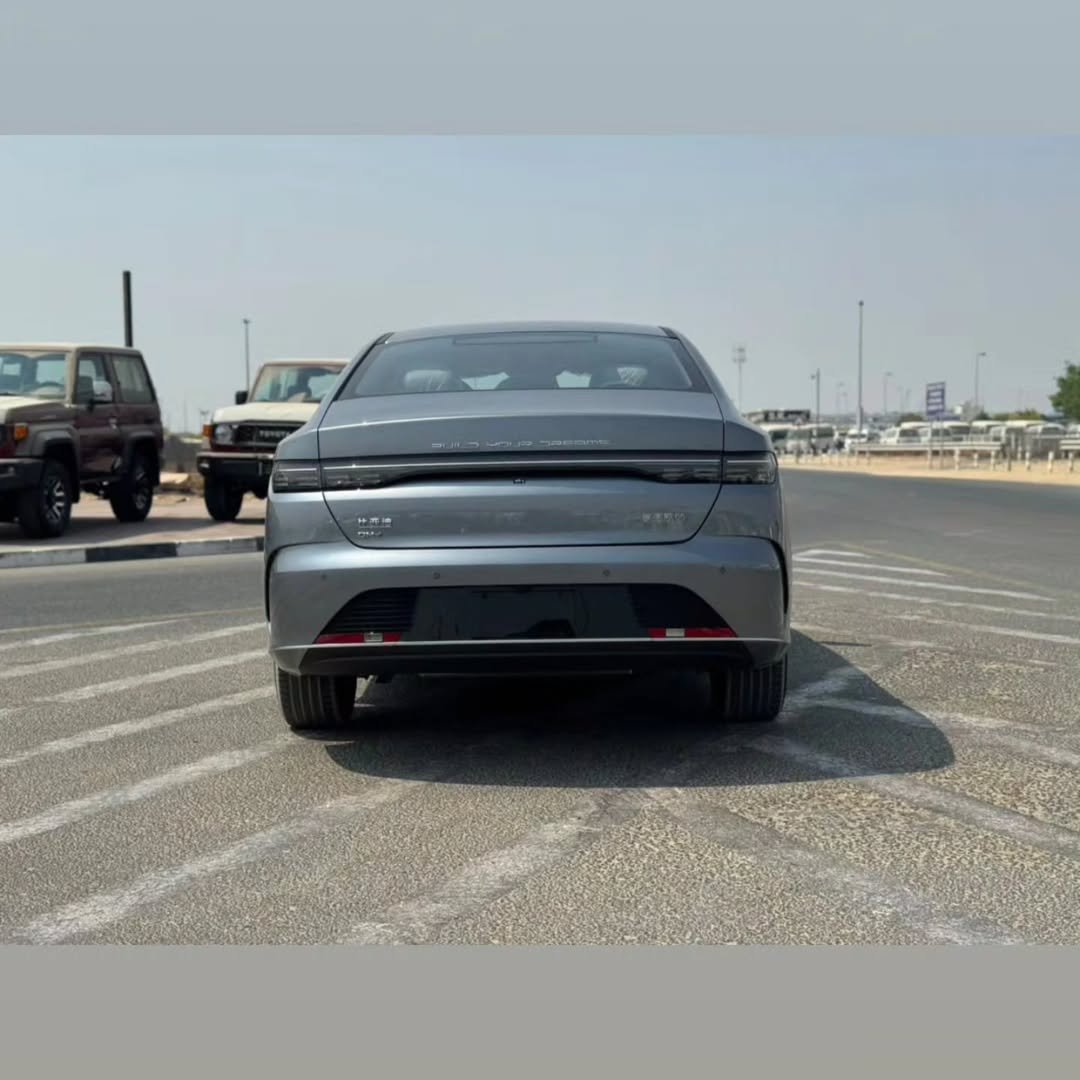 بي واي دي ديستروير 05 2026 صورة 5