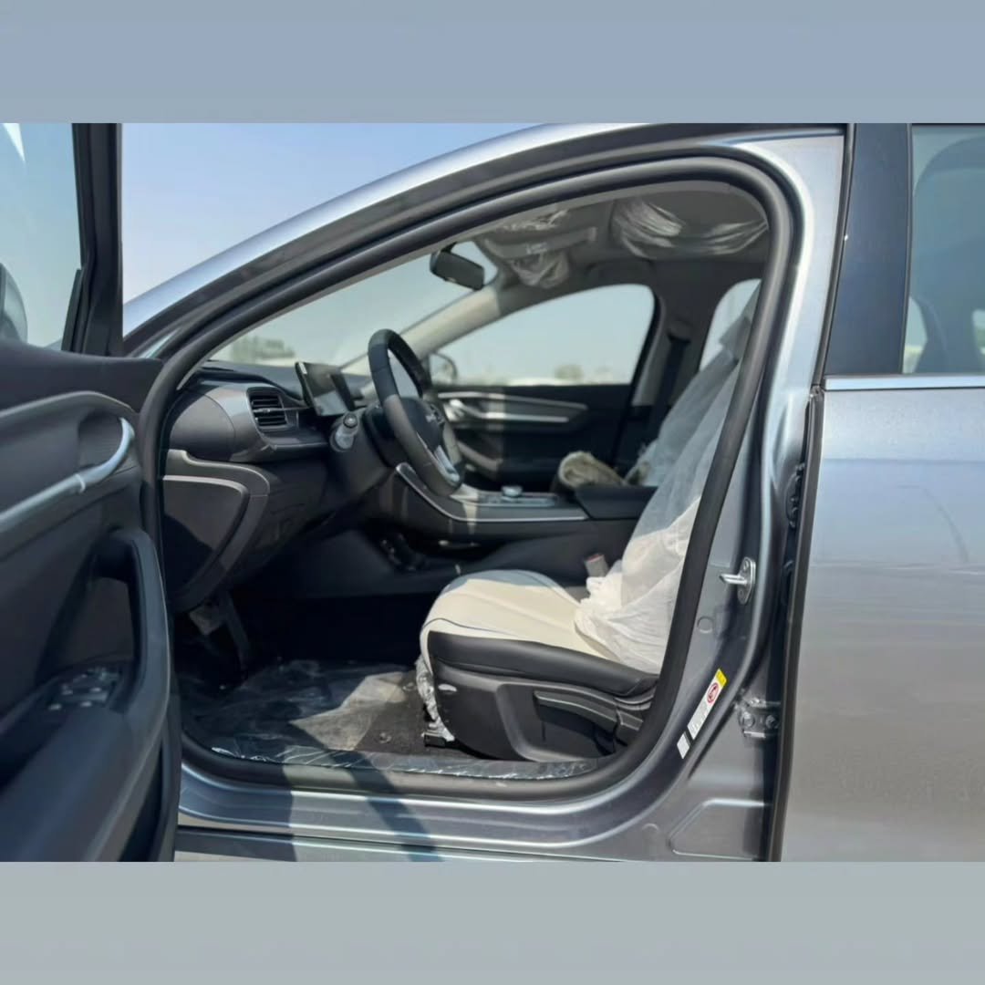 بي واي دي ديستروير 05 2026 صورة 7