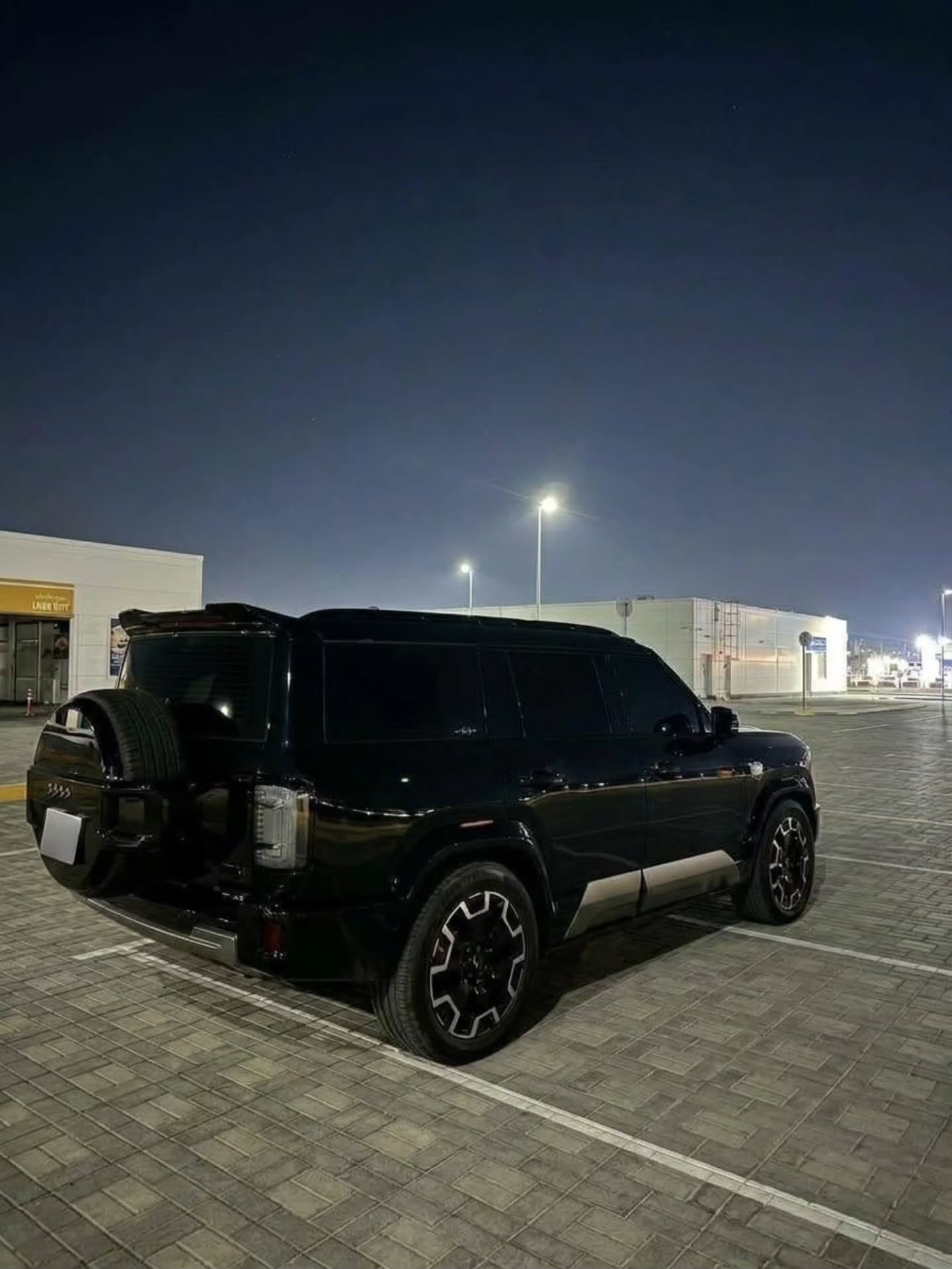 بي واي دي ليوبارد 8 2025 صورة 2