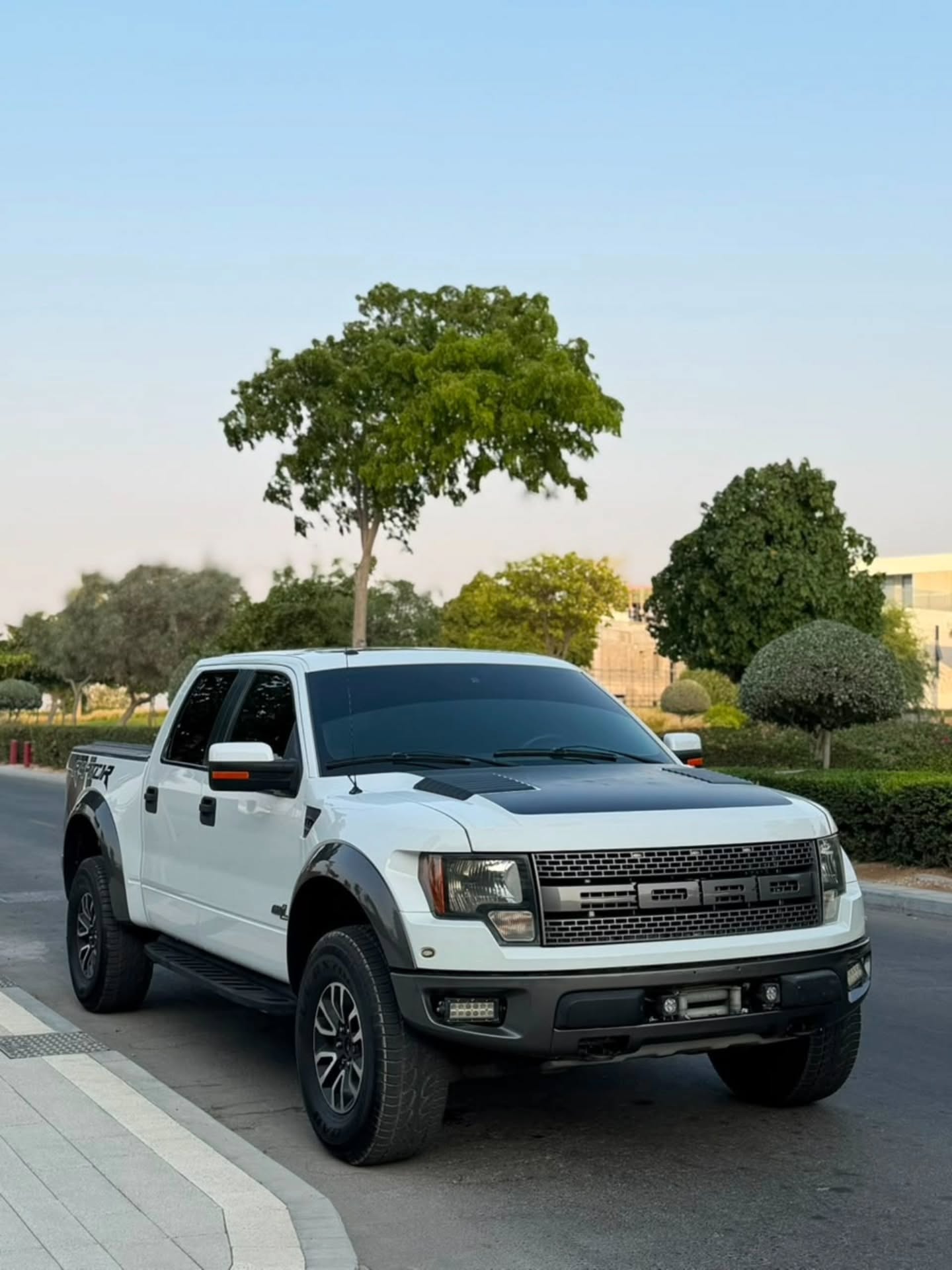 فورد F-150 2012 صورة 3