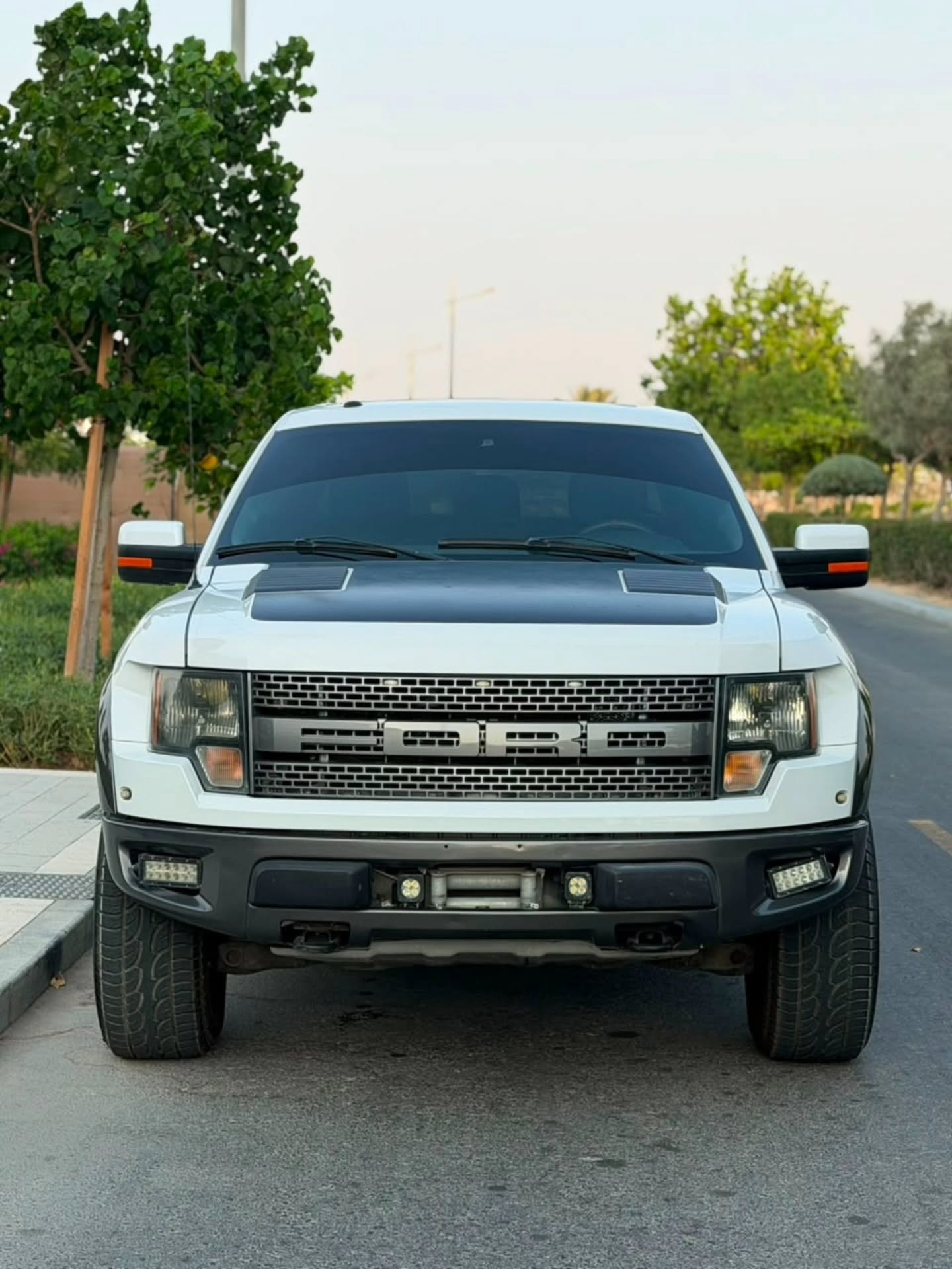 فورد F-150 2012 صورة 4