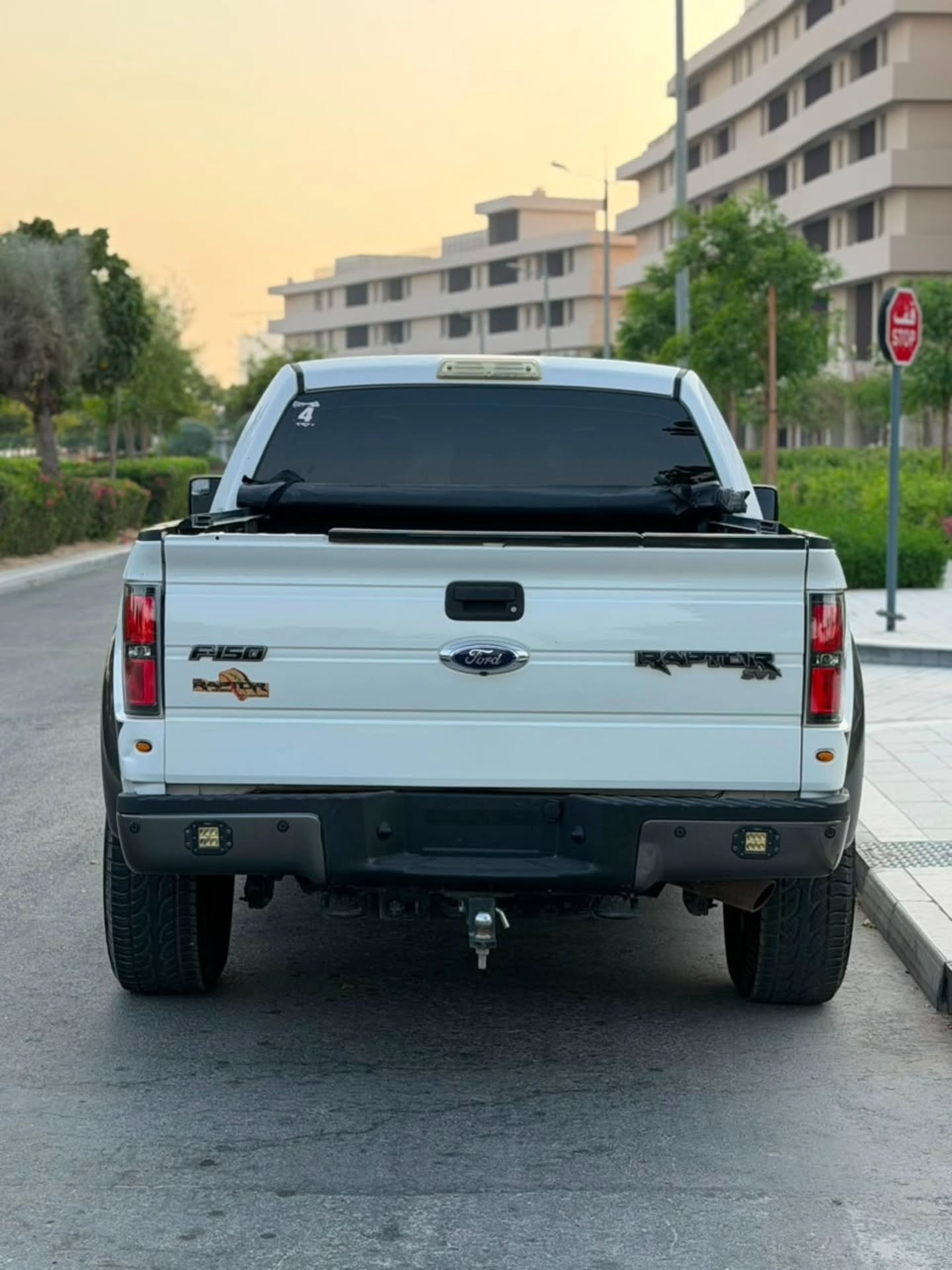 فورد F-150 2012 صورة 6