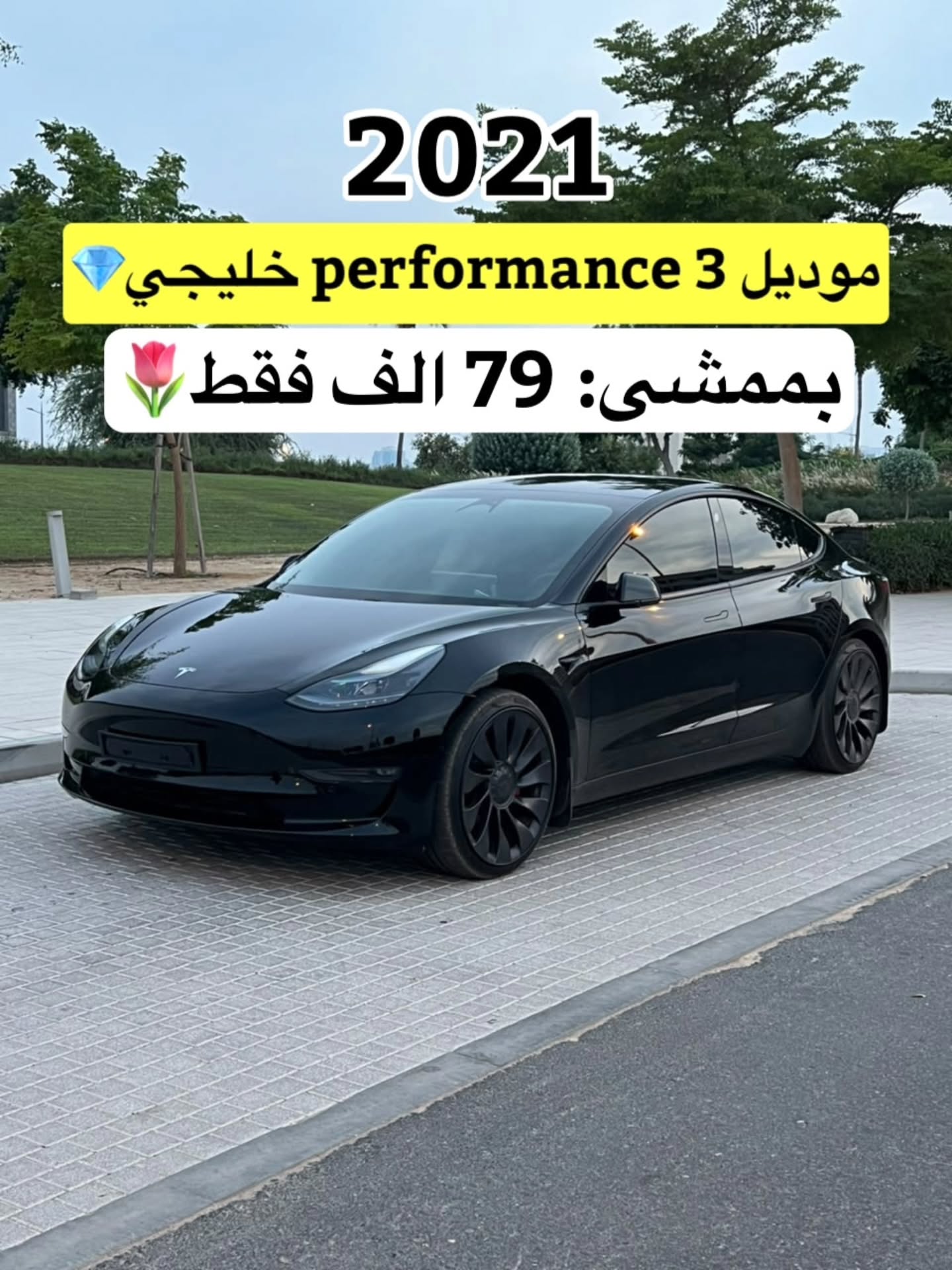 Tesla Model 3 2021