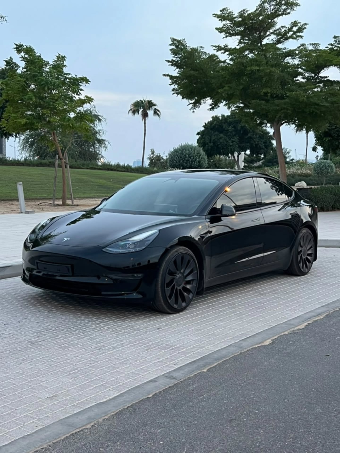 Tesla Model 3 2021 photo 2
