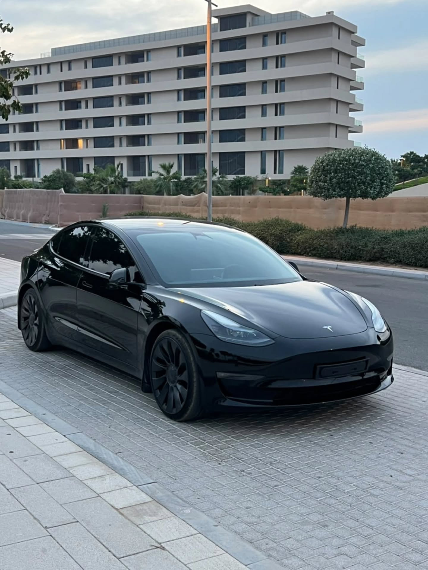 Tesla Model 3 2021 photo 3