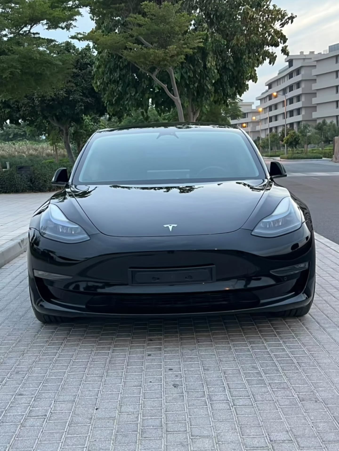 Tesla Model 3 2021 photo 4
