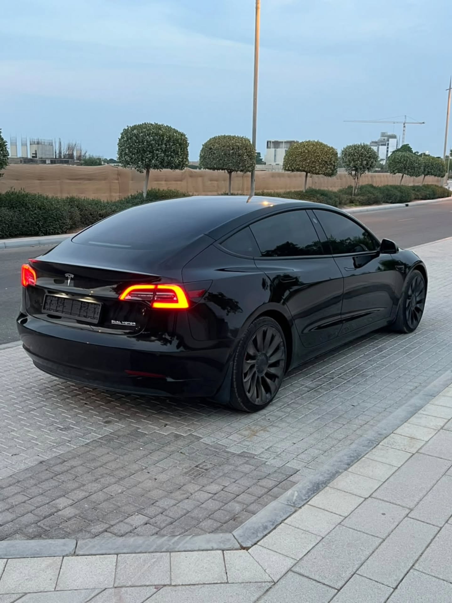 Tesla Model 3 2021 photo 5