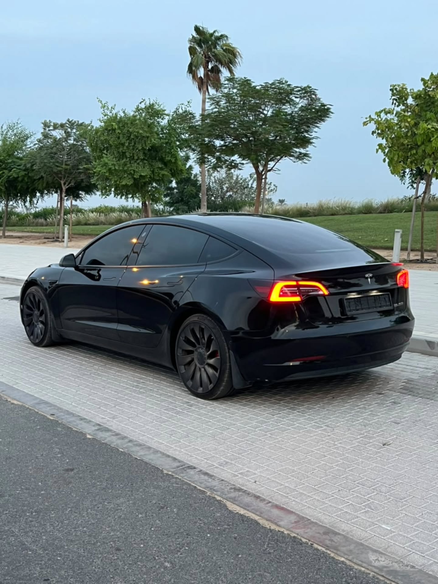 Tesla Model 3 2021 photo 6