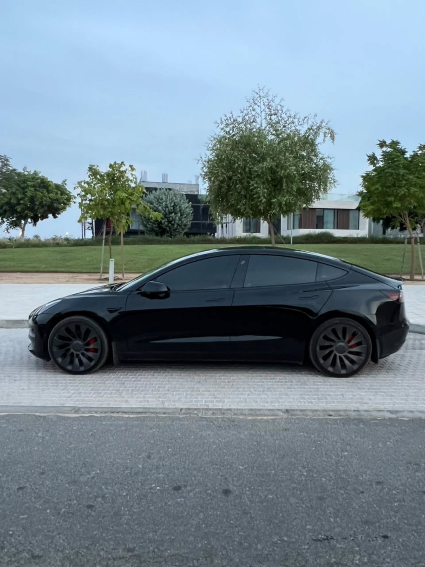 Tesla Model 3 2021 photo 7