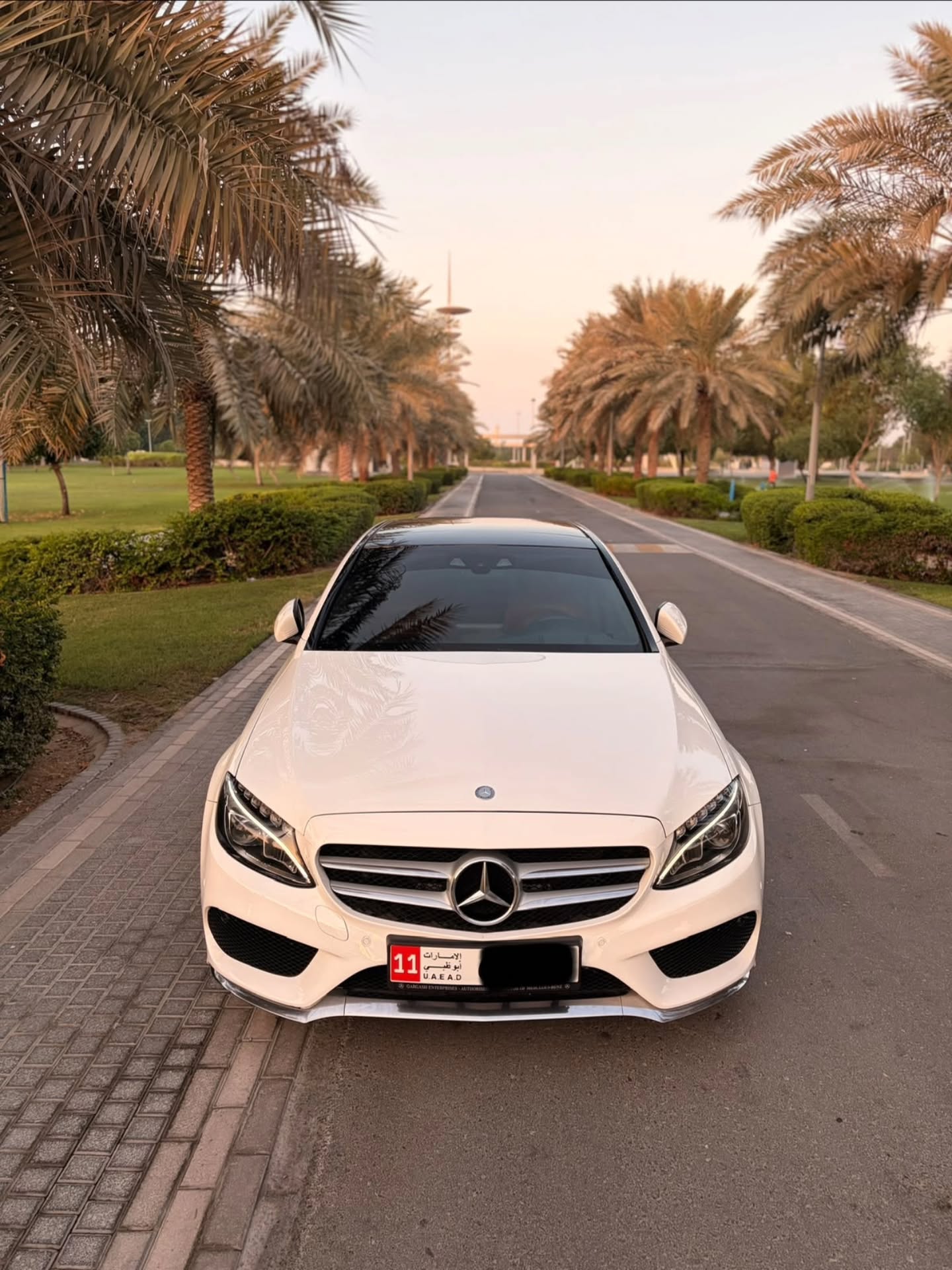مرسيدس الفئة C 2015 صورة 3