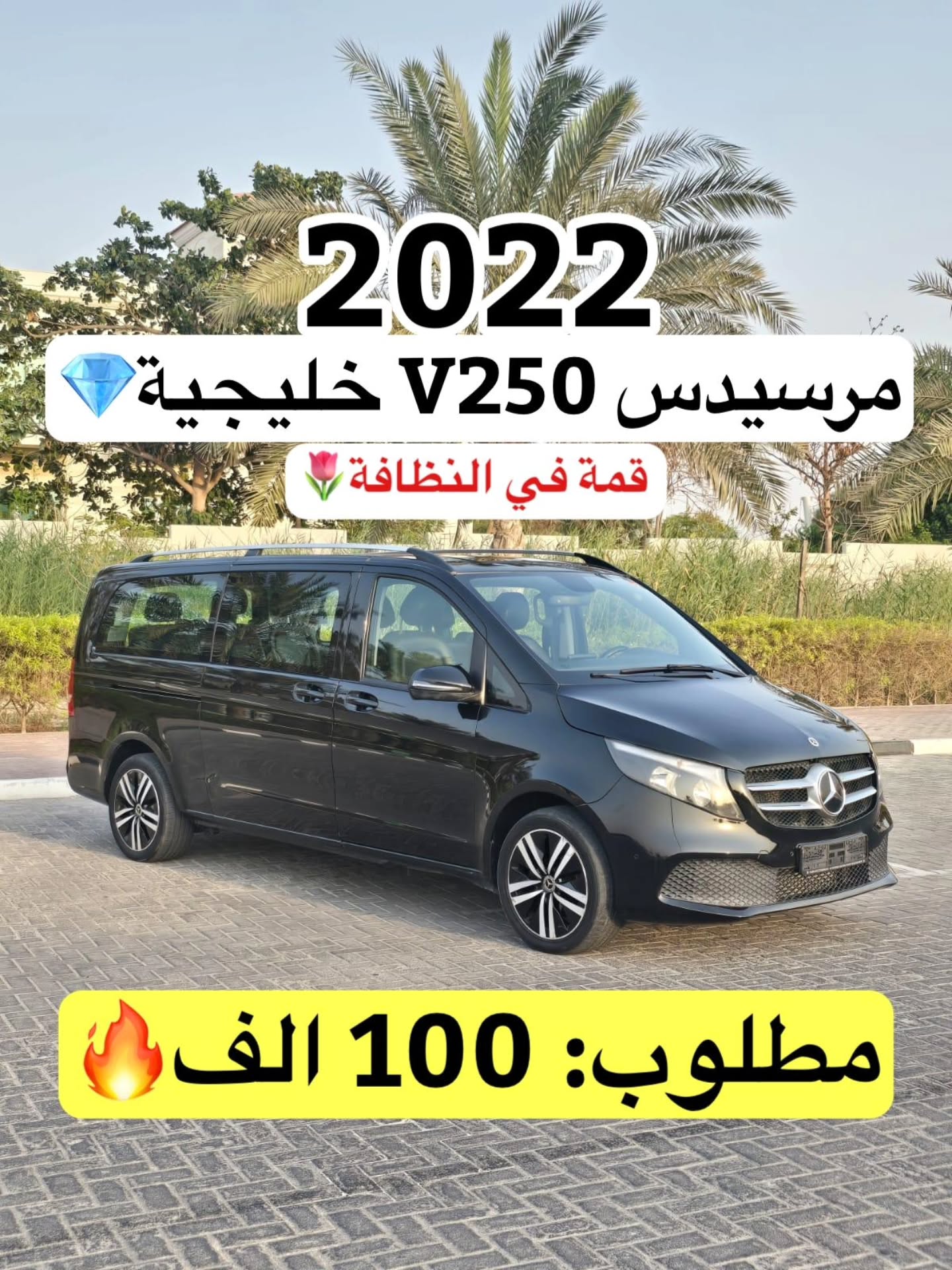 مرسيدس الفئة V 2022
