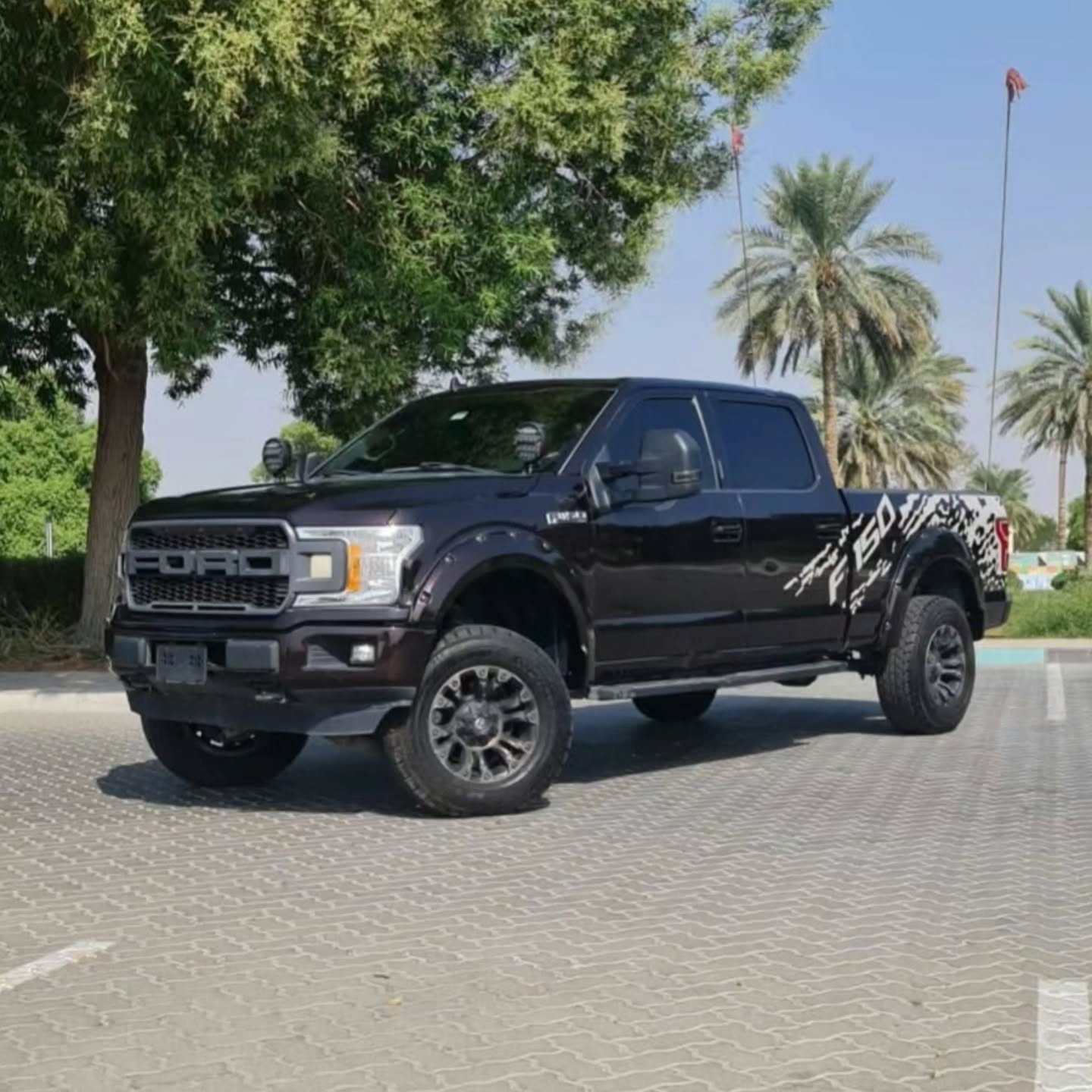 فورد F-150 2018 صورة 6