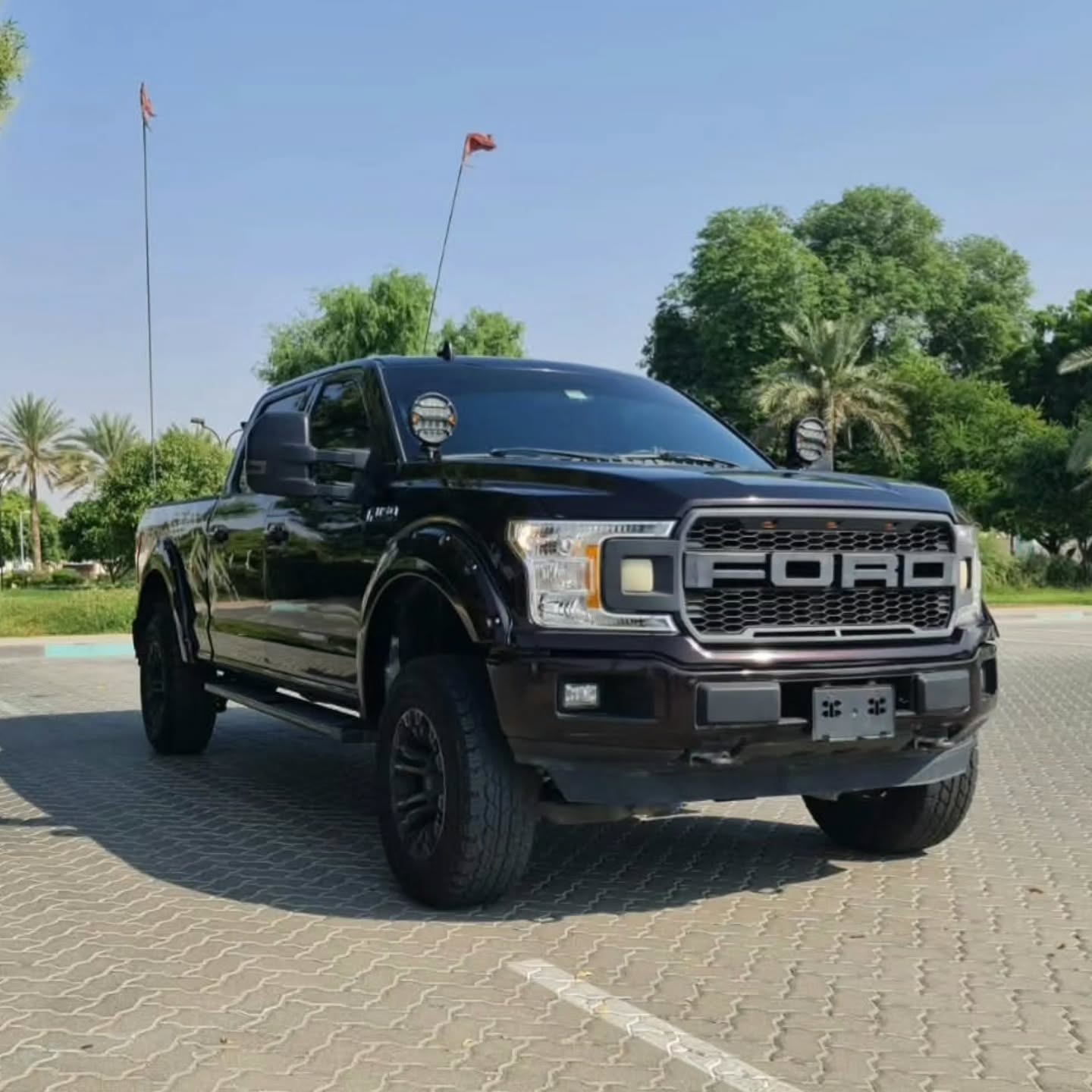 فورد F-150 2018 صورة 7