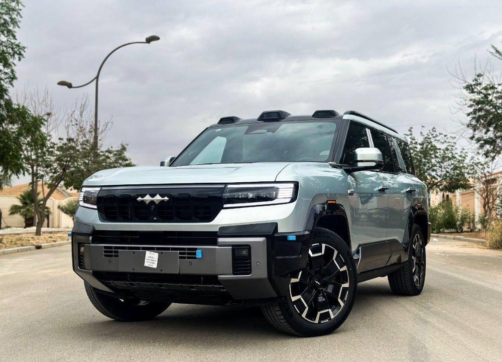بي واي دي ليوبارد 8 2026 صورة 2