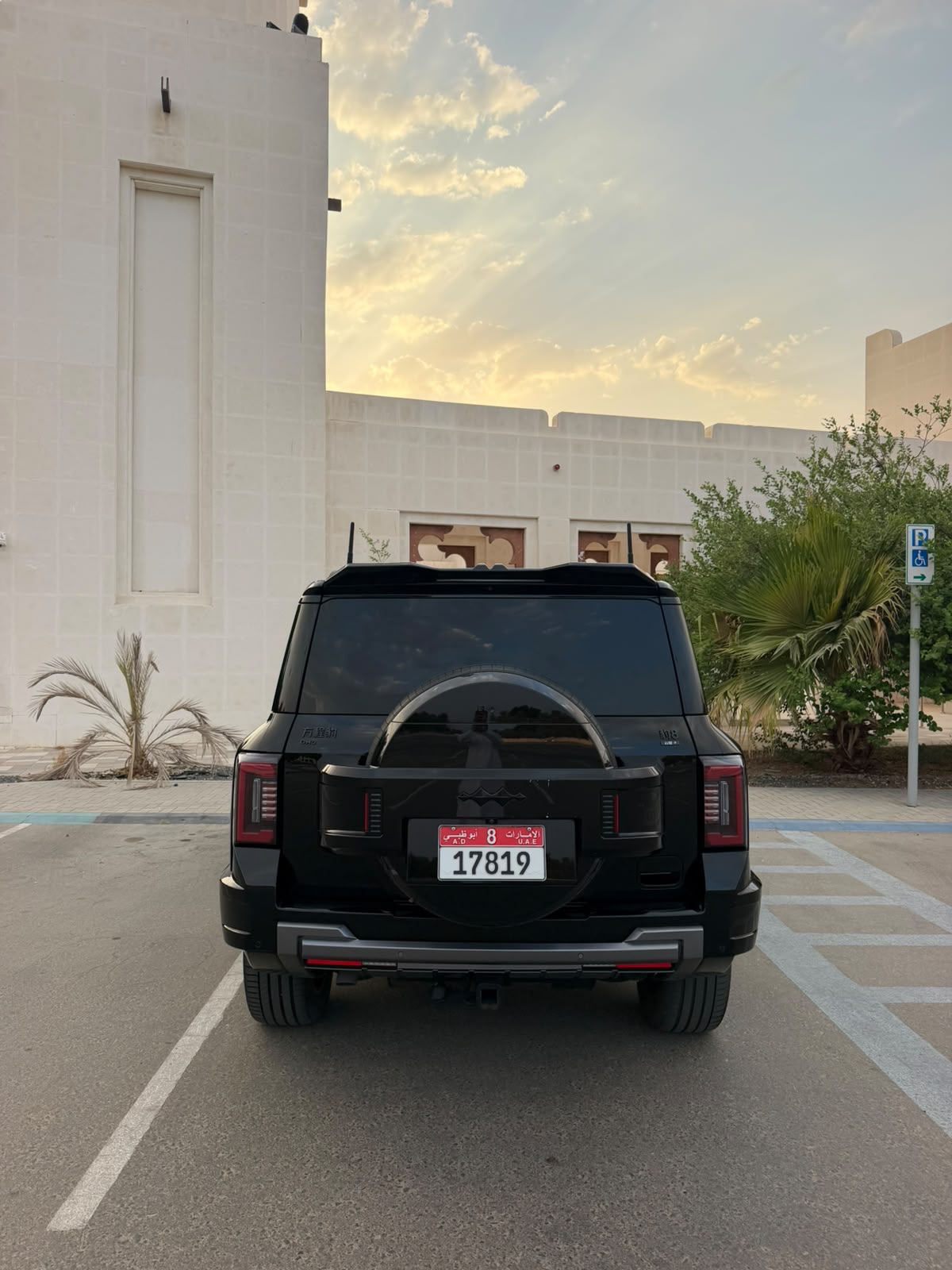 بي واي دي ليوبارد 8 2025 صورة 4
