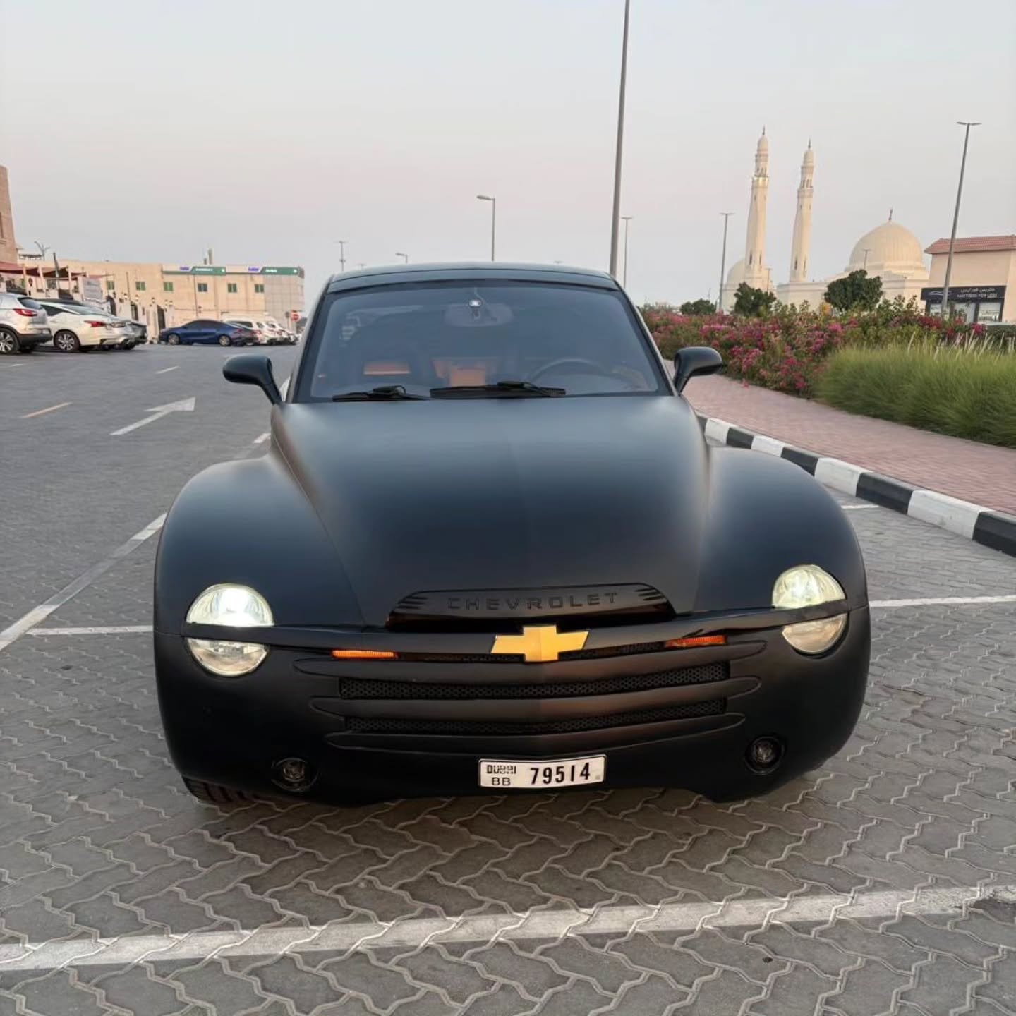 شيفروليه SSR 2004 صورة 3