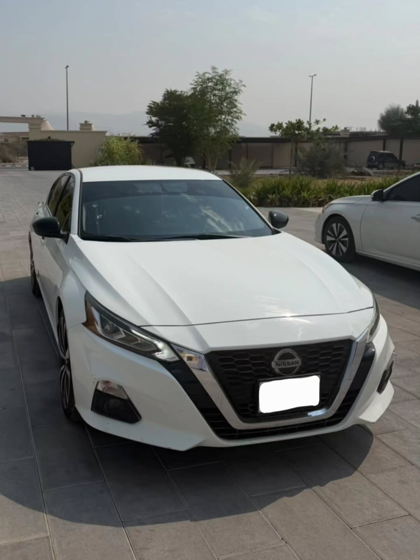 نيسان التيما 2019 صورة 2